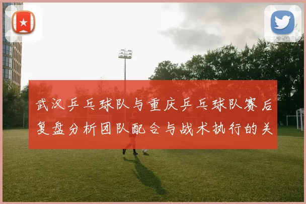 武汉乒乓球队与重庆乒乓球队赛后复盘分析团队配合与战术执行的关键要素