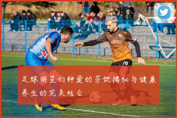 足球明星们钟爱的茶饮揭秘与健康养生的完美结合