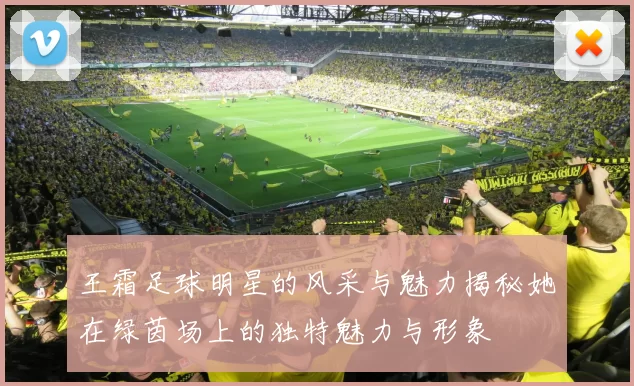 王霜足球明星的风采与魅力揭秘她在绿茵场上的独特魅力与形象