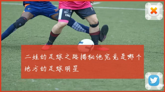 二娃的足球之路揭秘他究竟是哪个地方的足球明星