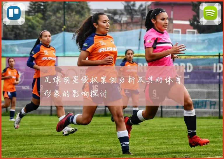 足球明星侵权案例分析及其对体育形象的影响探讨