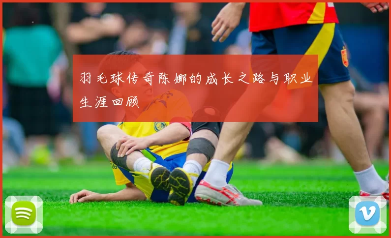 羽毛球传奇陈娜的成长之路与职业生涯回顾