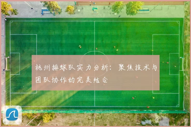 杭州排球队实力分析：聚焦技术与团队协作的完美结合