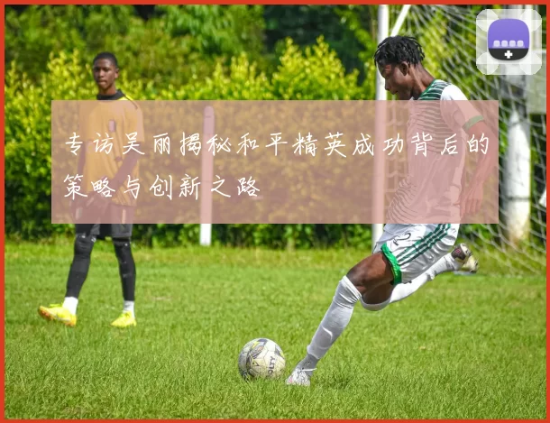 专访吴丽揭秘和平精英成功背后的策略与创新之路