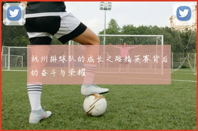 杭州排球队的成长之路精英赛背后的奋斗与荣耀