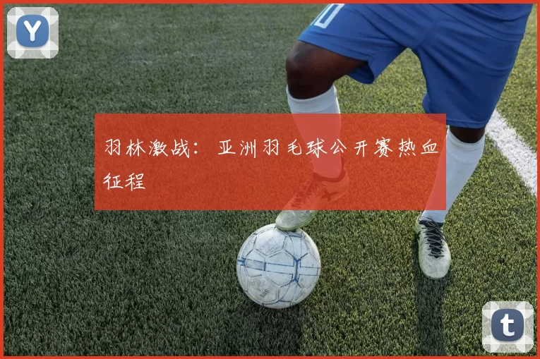 羽林激战：亚洲羽毛球公开赛热血征程