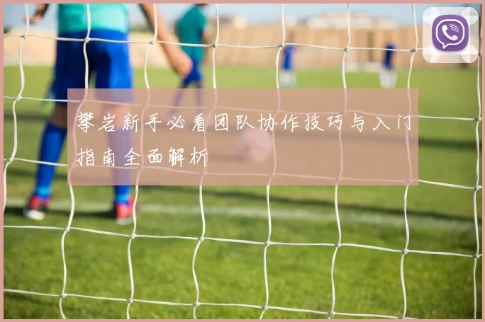 攀岩新手必看团队协作技巧与入门指南全面解析
