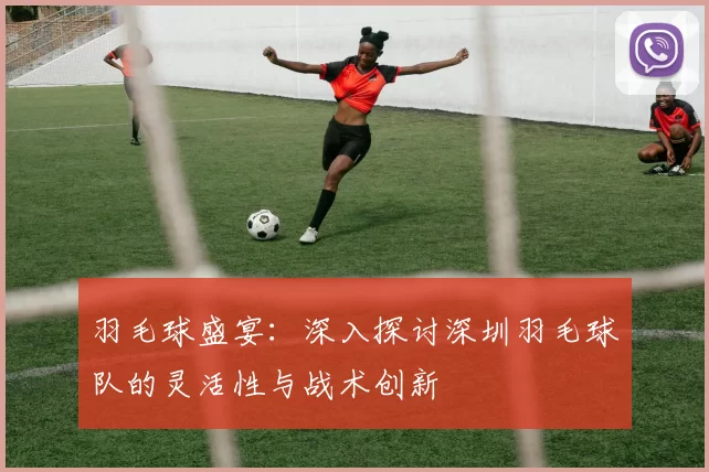 羽毛球盛宴：深入探讨深圳羽毛球队的灵活性与战术创新