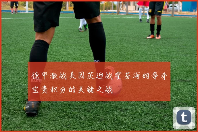 德甲激战美因茨迎战霍芬海姆争夺宝贵积分的关键之战