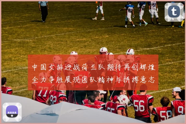 中国女排迎战荷兰队期待再创辉煌全力争胜展现团队精神与拼搏意志
