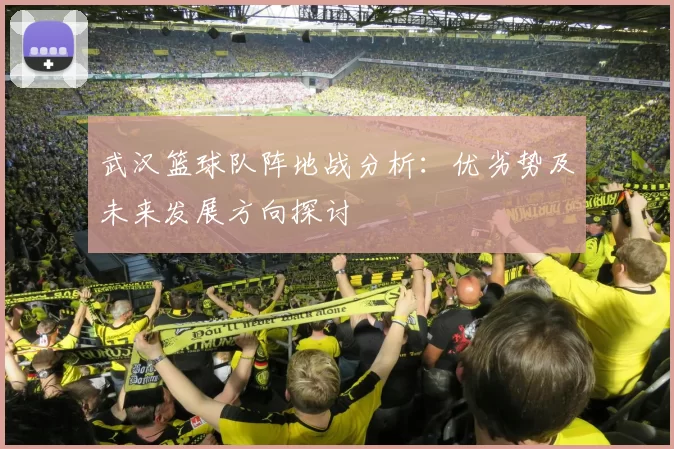 武汉篮球队阵地战分析：优劣势及未来发展方向探讨