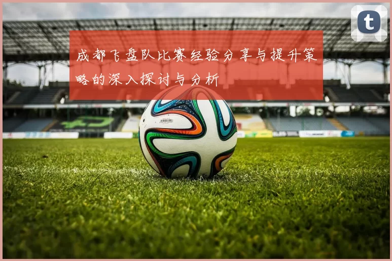 成都飞盘队比赛经验分享与提升策略的深入探讨与分析