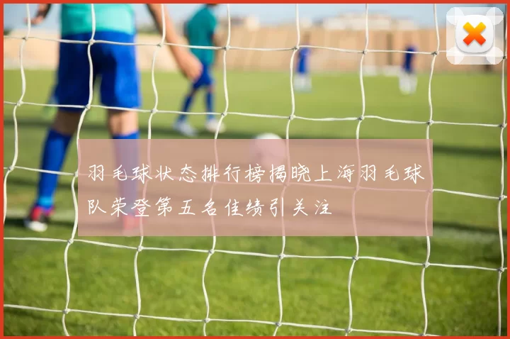 羽毛球状态排行榜揭晓上海羽毛球队荣登第五名佳绩引关注