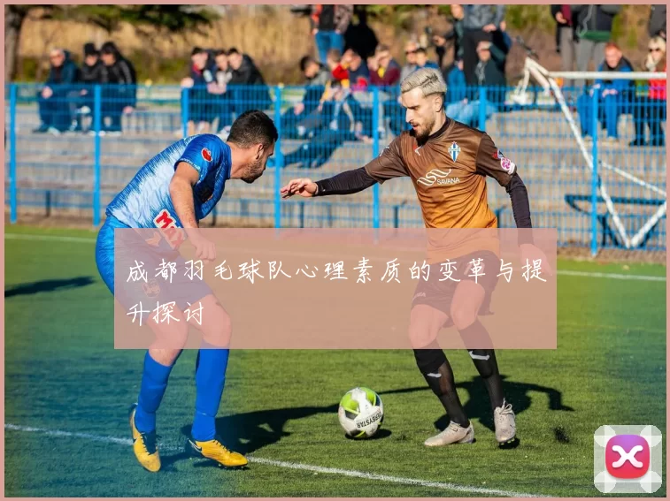 成都羽毛球队心理素质的变革与提升探讨