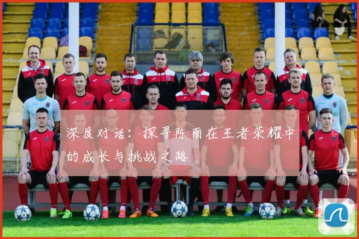 深度对话：探寻陈丽在王者荣耀中的成长与挑战之路