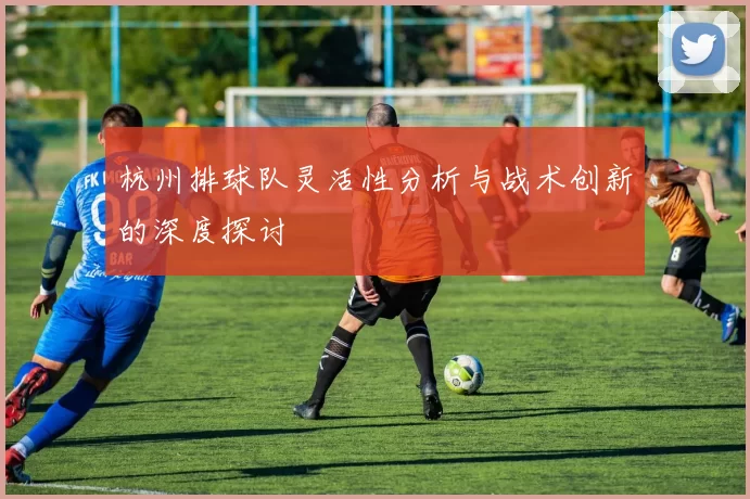 杭州排球队灵活性分析与战术创新的深度探讨