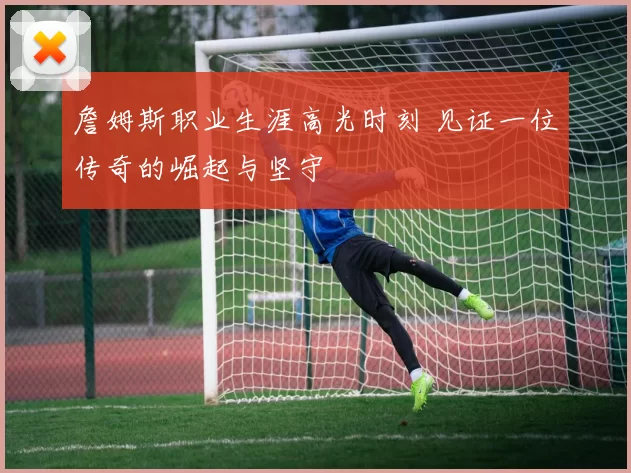 詹姆斯职业生涯高光时刻 见证一位传奇的崛起与坚守