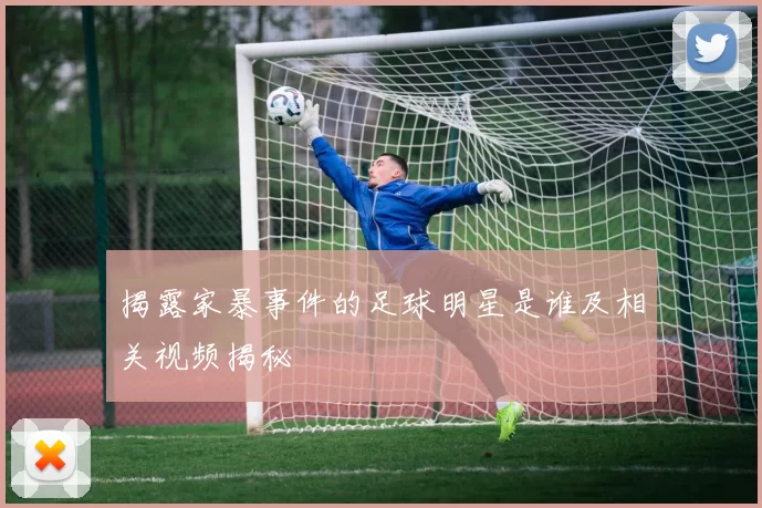 揭露家暴事件的足球明星是谁及相关视频揭秘