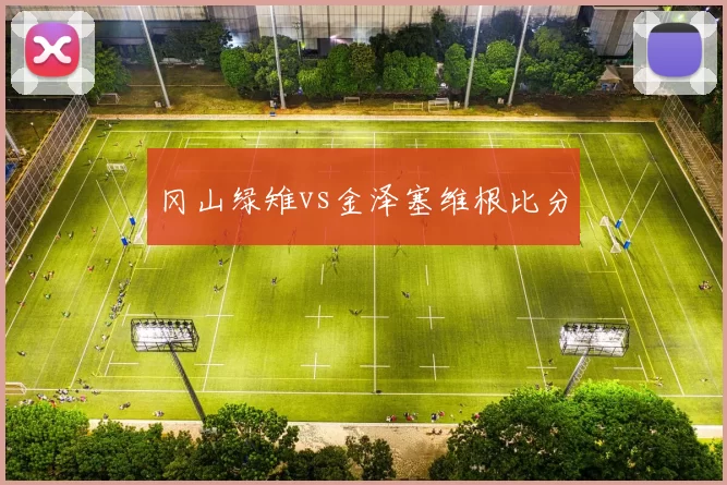 冈山绿雉vs金泽塞维根比分