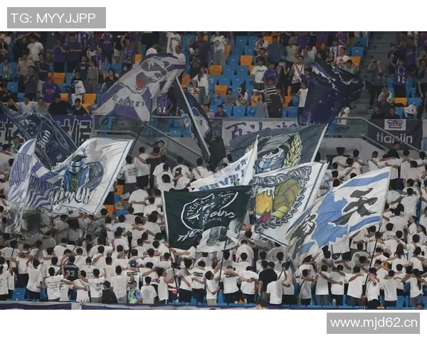 中超联赛新阶段开启 聚焦球队竞争与未来发展趋势 中超联赛新阶段开启 聚焦球队竞争与未来发展趋势